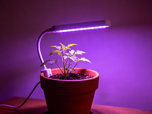 LED植物生长灯